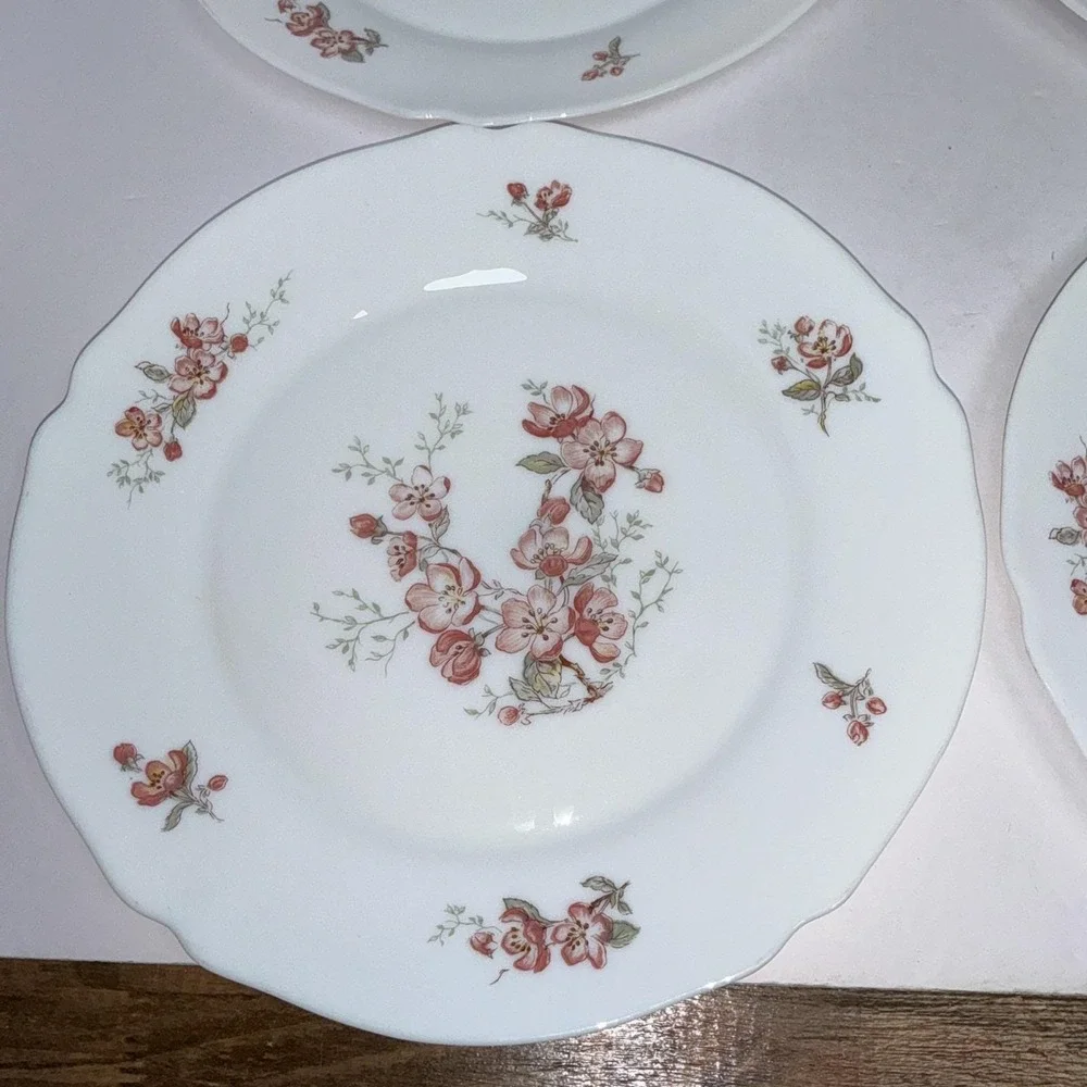 Lot 5 Vintage Arcopal France Florentine Cherry Blossom 10